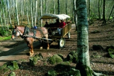 Бесалу 3